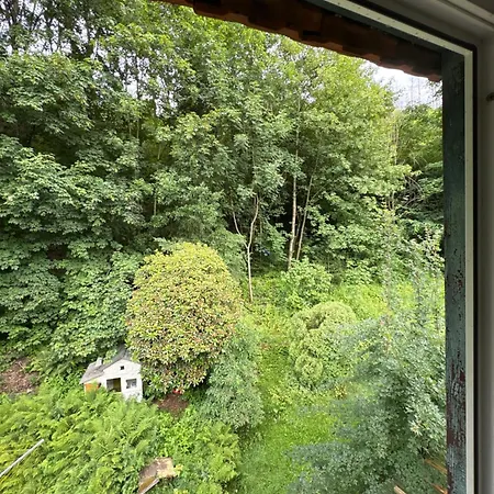 Harz Mountain Retreat Casa Bianca 招待所 巴特格伦德