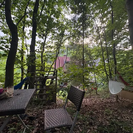 Harz Mountain Retreat Casa Bianca 招待所 3*